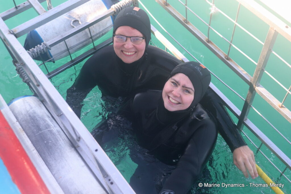 Shark cage diving, Gansbaai, South Africa