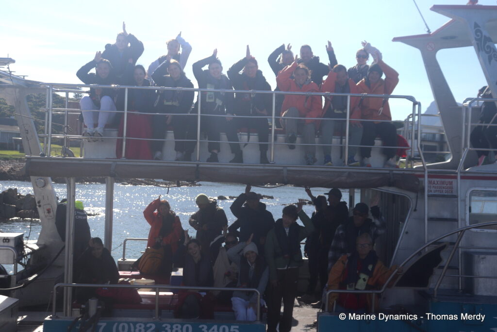 Shark cage diving, Gansbaai, South Africa