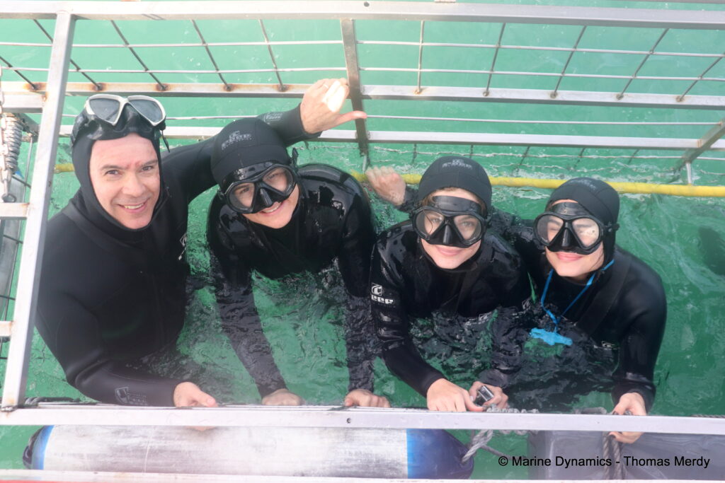 Shark cage diving, South Africa, Gansbaai
