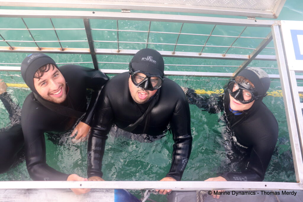 Shark cage diving, South Africa, Gansbaai
