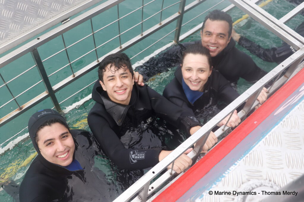 Shark cage diving, South Africa, Gansbaai