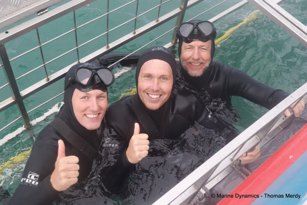 Shark cage diving, South Africa, Gansbaai