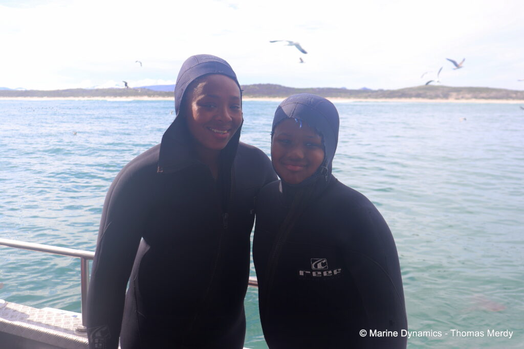 Shark cage diving, South Africa, Gansbaai