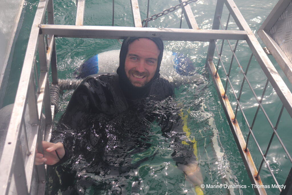 Shark cage diving, South Africa, Gansbaai