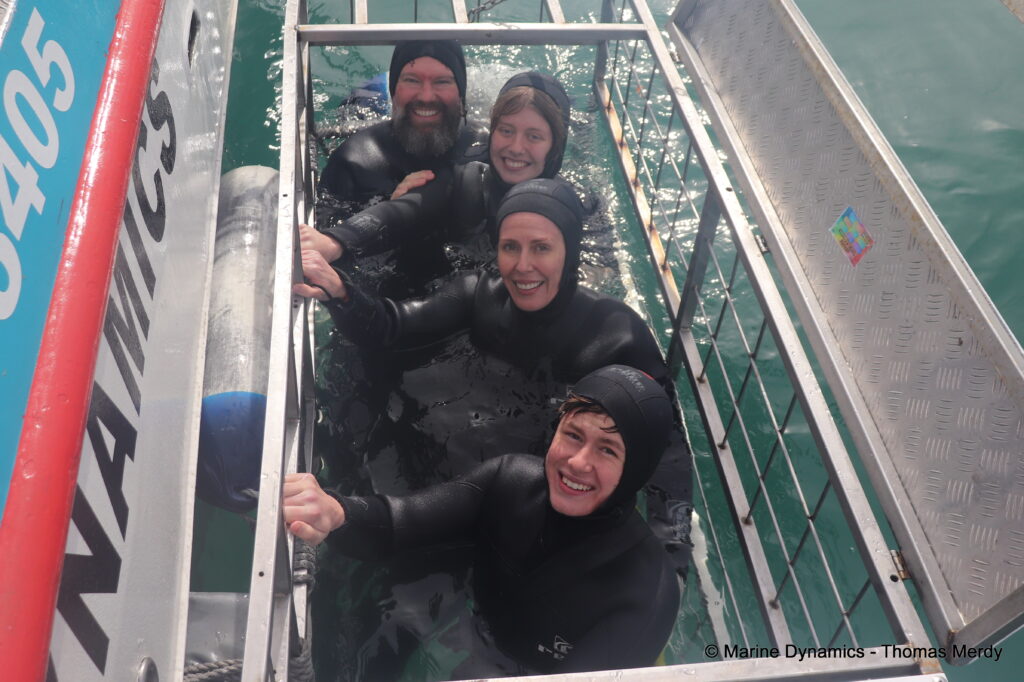 Shark cage diving, South Africa, Gansbaai