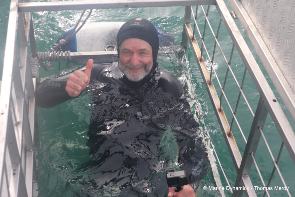 Shark cage diving, South Africa, Gansbaai