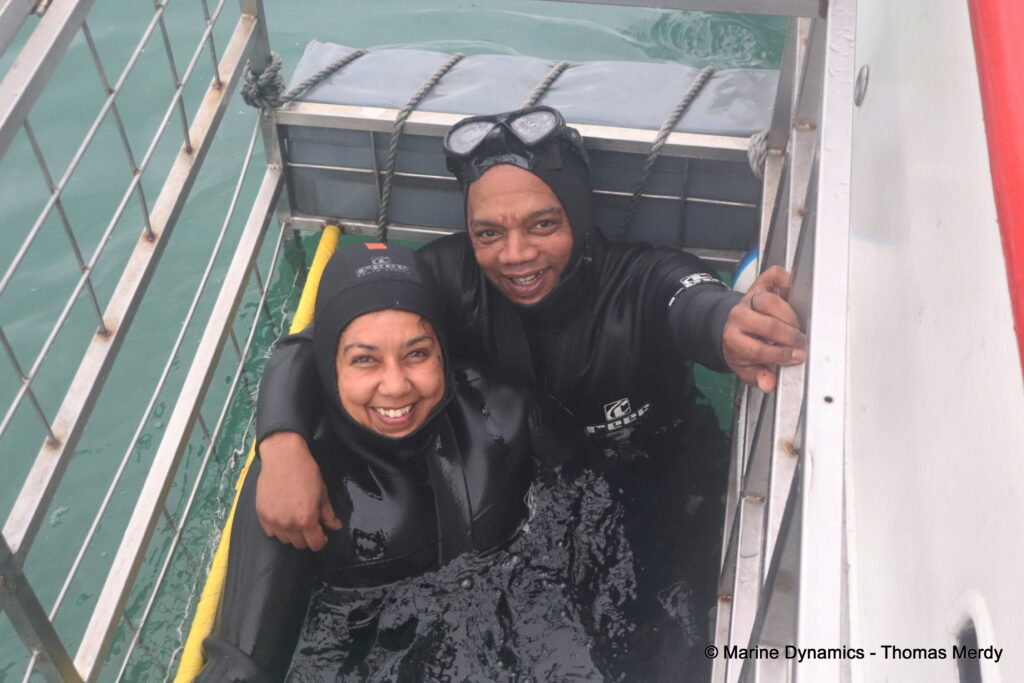 Shark cage diving, South Africa, Gansbaai