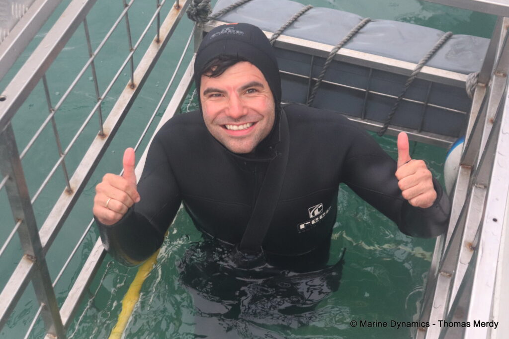 Shark cage diving, South Africa, Gansbaai