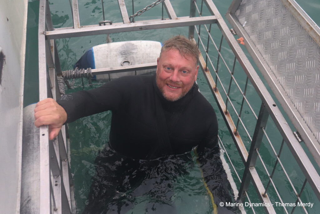 Shark cage diving, South Africa, Gansbaai