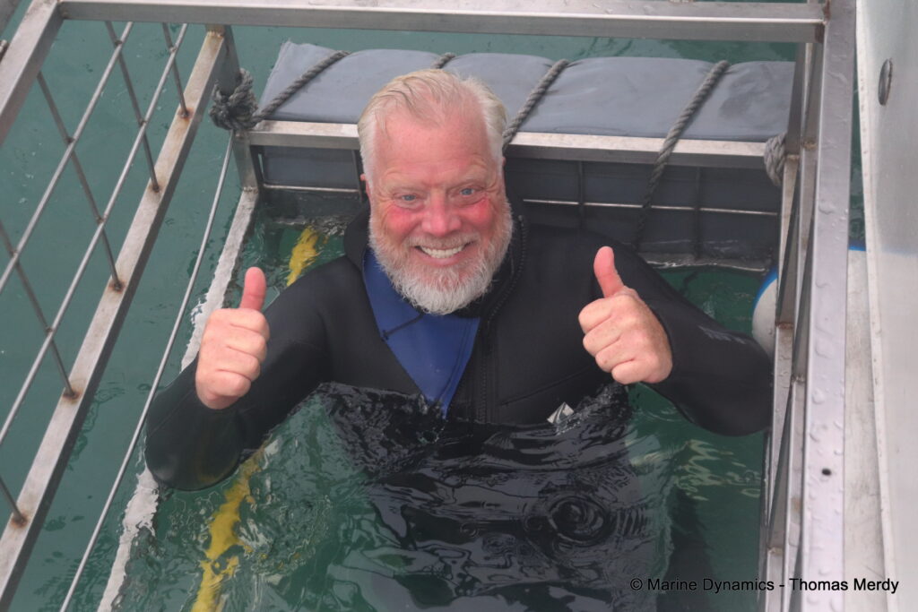 Shark cage diving, South Africa, Gansbaai