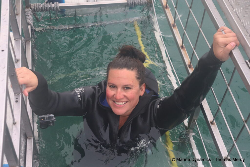 Shark cage diving, South Africa, Gansbaai