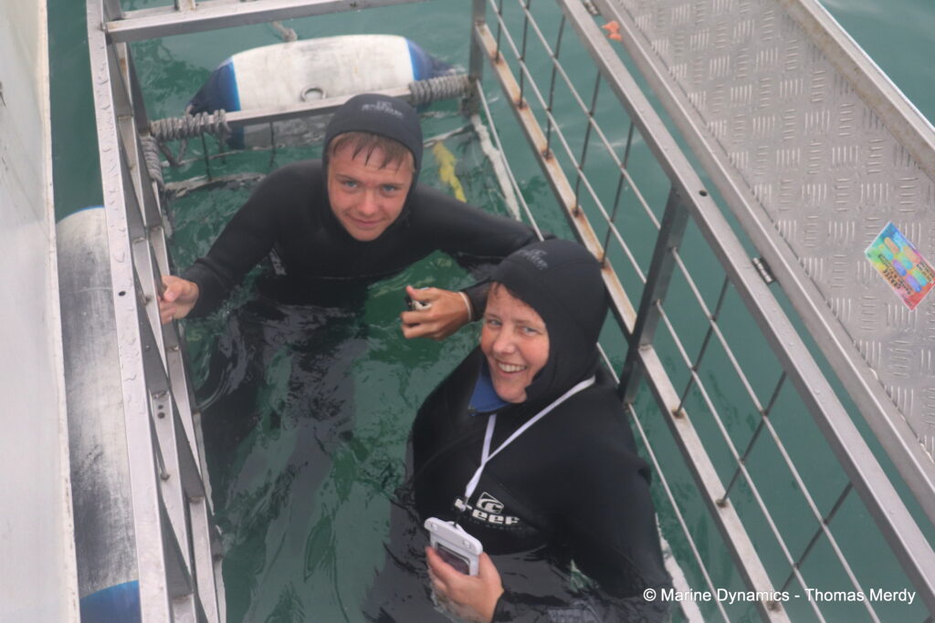 Shark cage diving, South Africa, Gansbaai