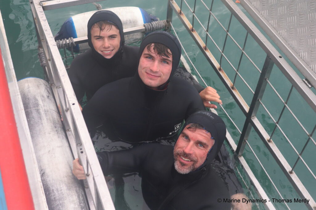 Shark cage diving, South Africa, Gansbaai