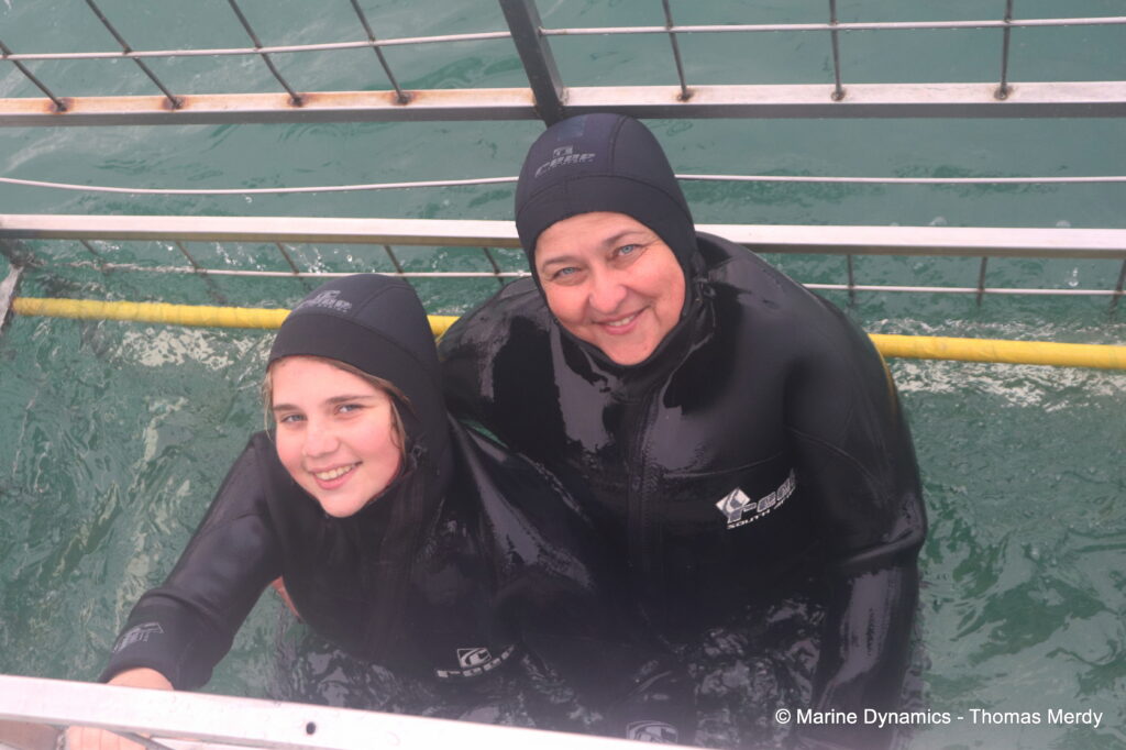 Shark cage diving, South Africa, Gansbaai