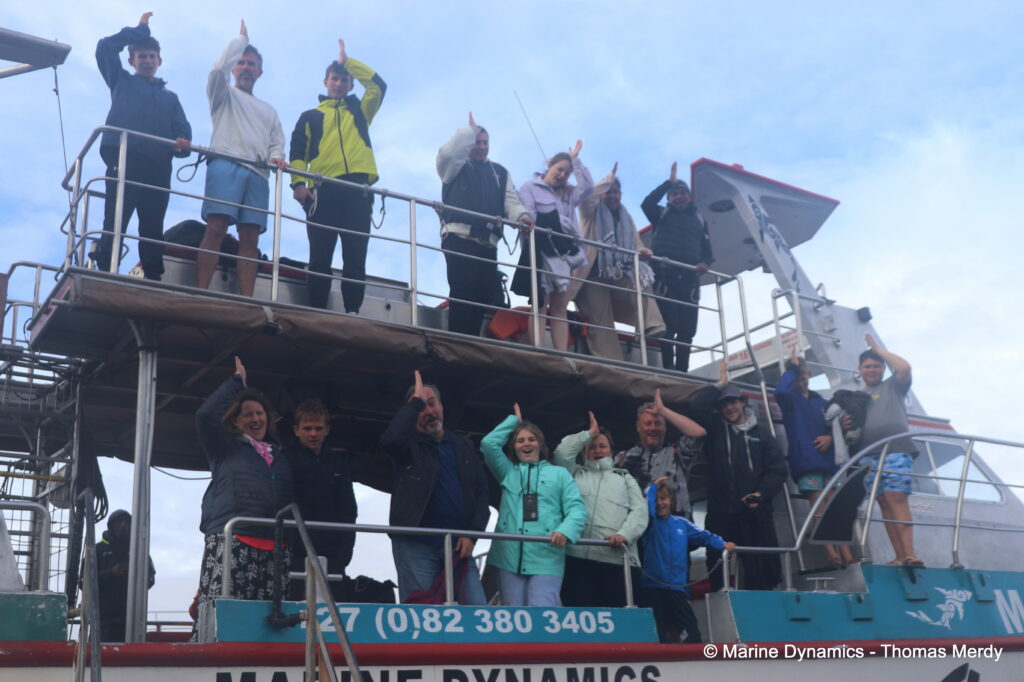 Shark cage diving, South Africa, Gansbaai