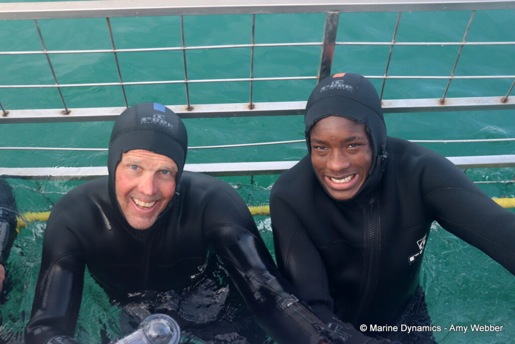 Shark cage diving, Gansbaai, South Africa