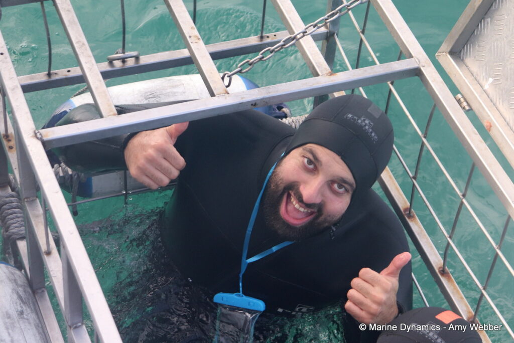 Shark cage diving, Gansbaai, South Africa