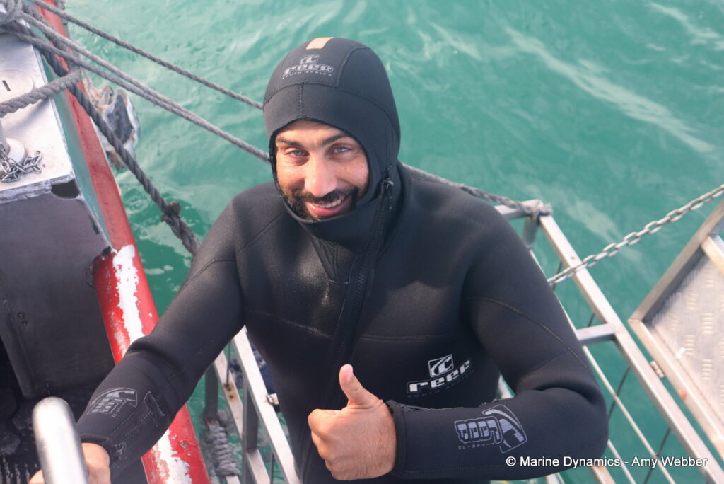 Shark cage diving, Gansbaai, South Africa