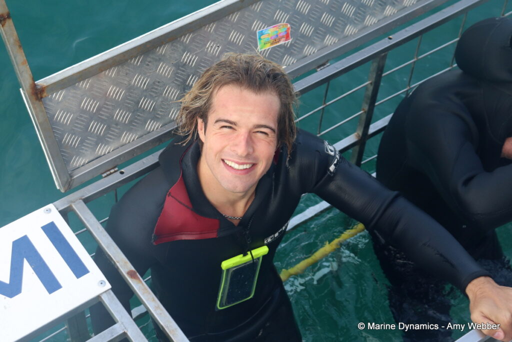 Shark cage diving, Gansbaai, South Africa