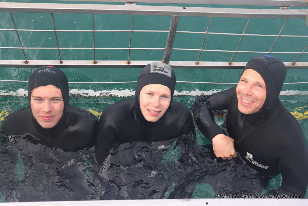 Shark cage diving, Gansbaai, South Africa