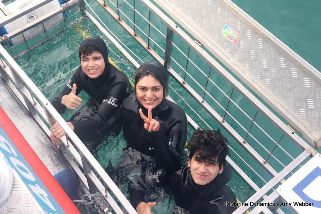Shark cage diving, Gansbaai, South Africa