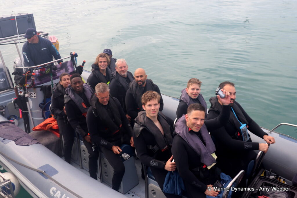 Shark cage diving, Gansbaai, South Africa