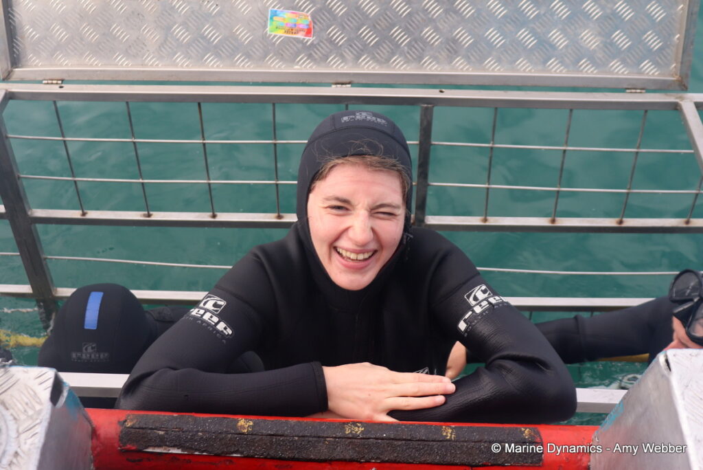 Shark cage diving, Gansbaai, South Africa