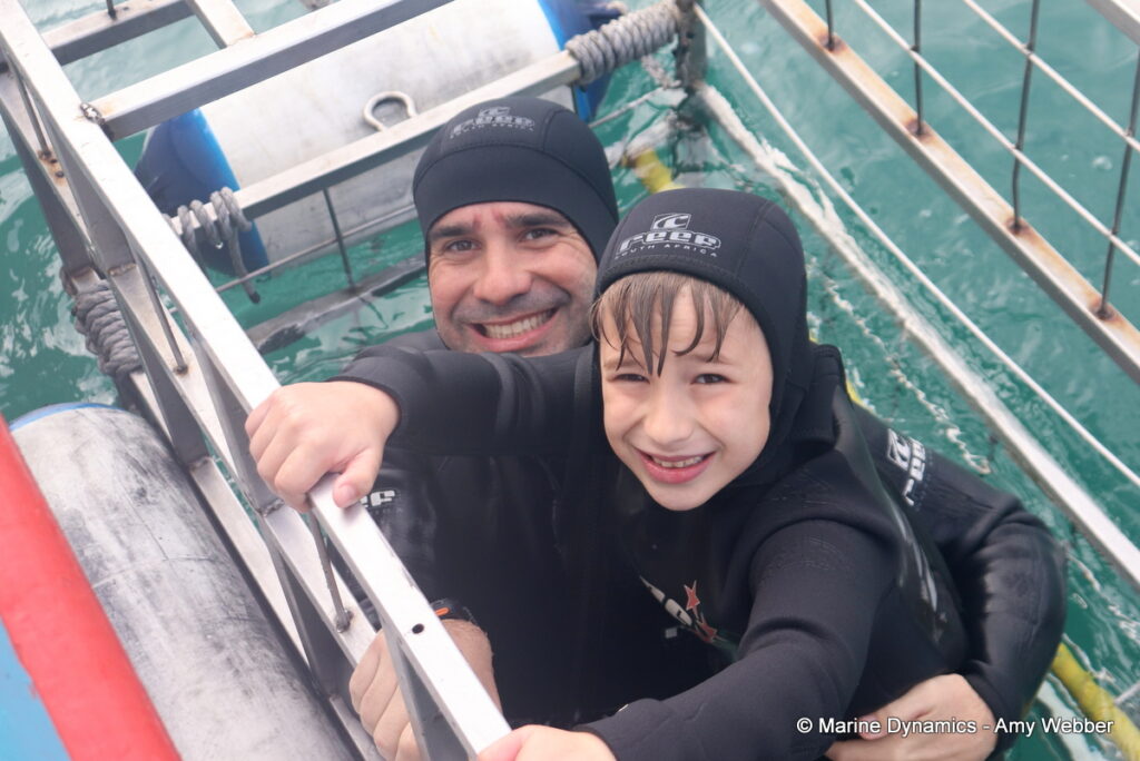 Shark cage diving, Gansbaai, South Africa