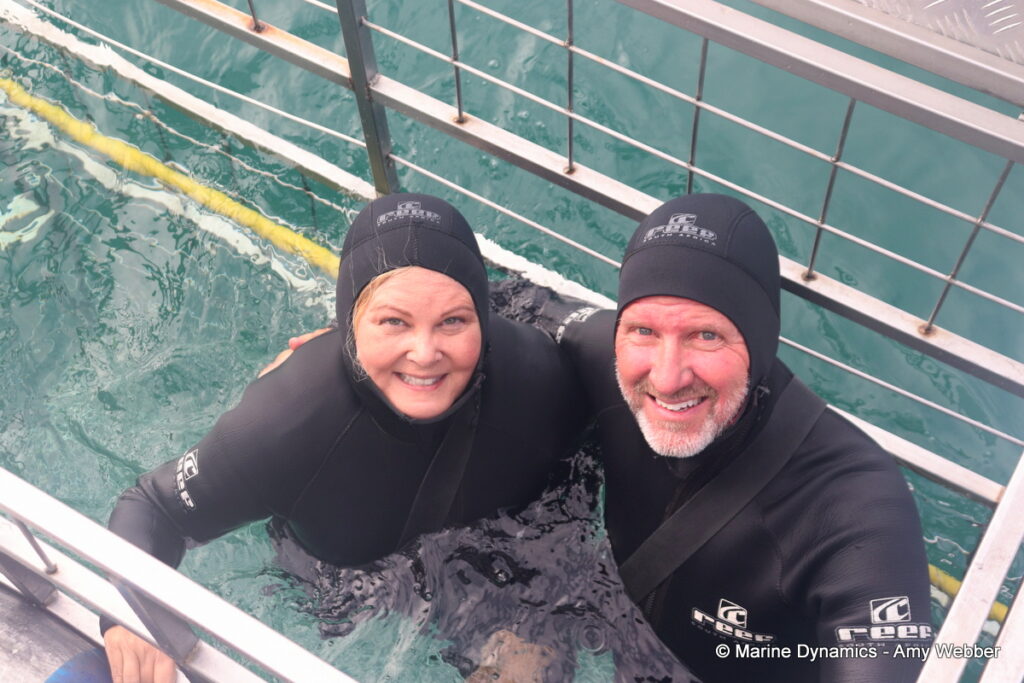 Shark cage diving, Gansbaai, South Africa