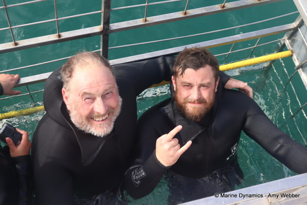 Shark cage diving, Gansbaai, South Africa
