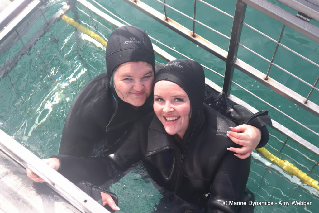 Shark cage diving, Gansbaai, South Africa