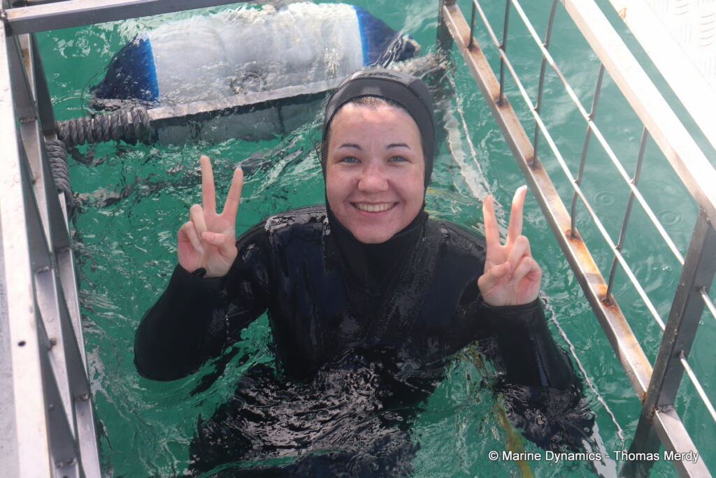 Shark cage diving, South Africa, Gansbaai