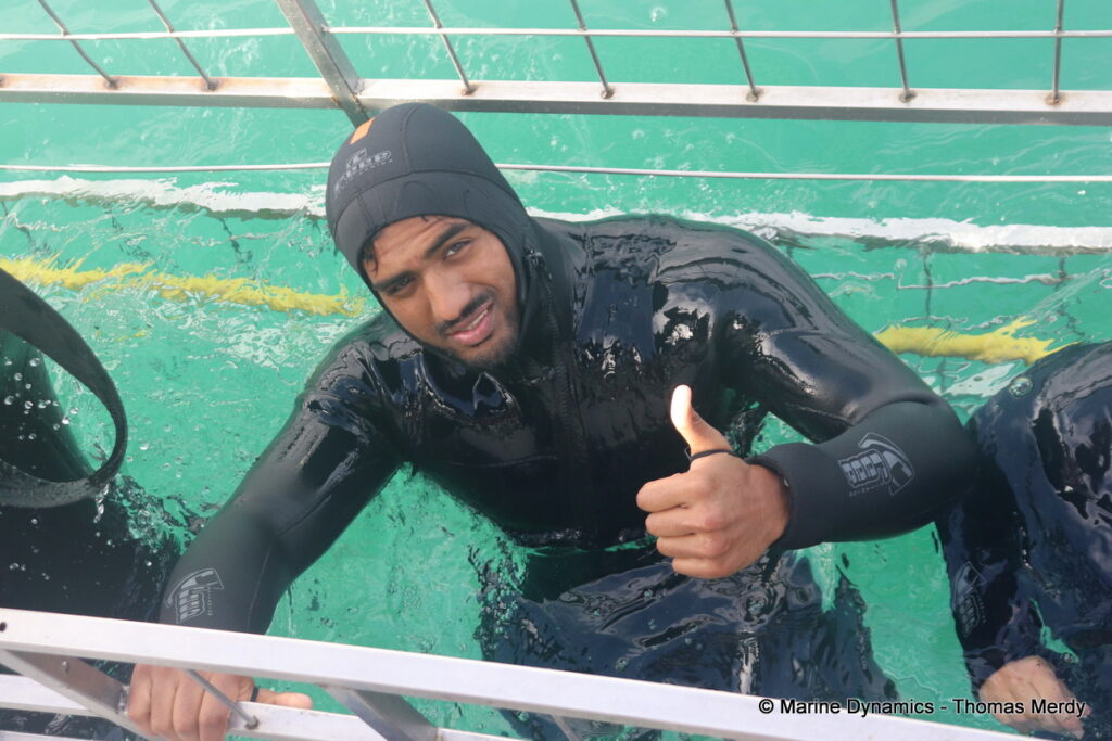 Shark cage diving, South Africa, Gansbaai