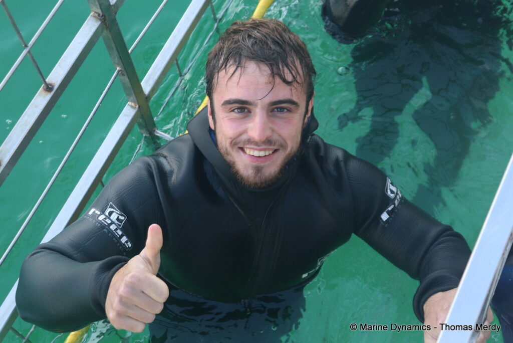 Shark cage diving, South Africa, Gansbaai