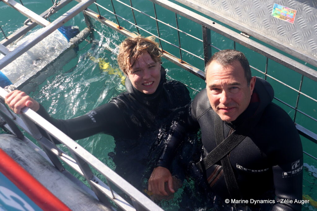 Shark cage diving, South Africa, Gansbaai