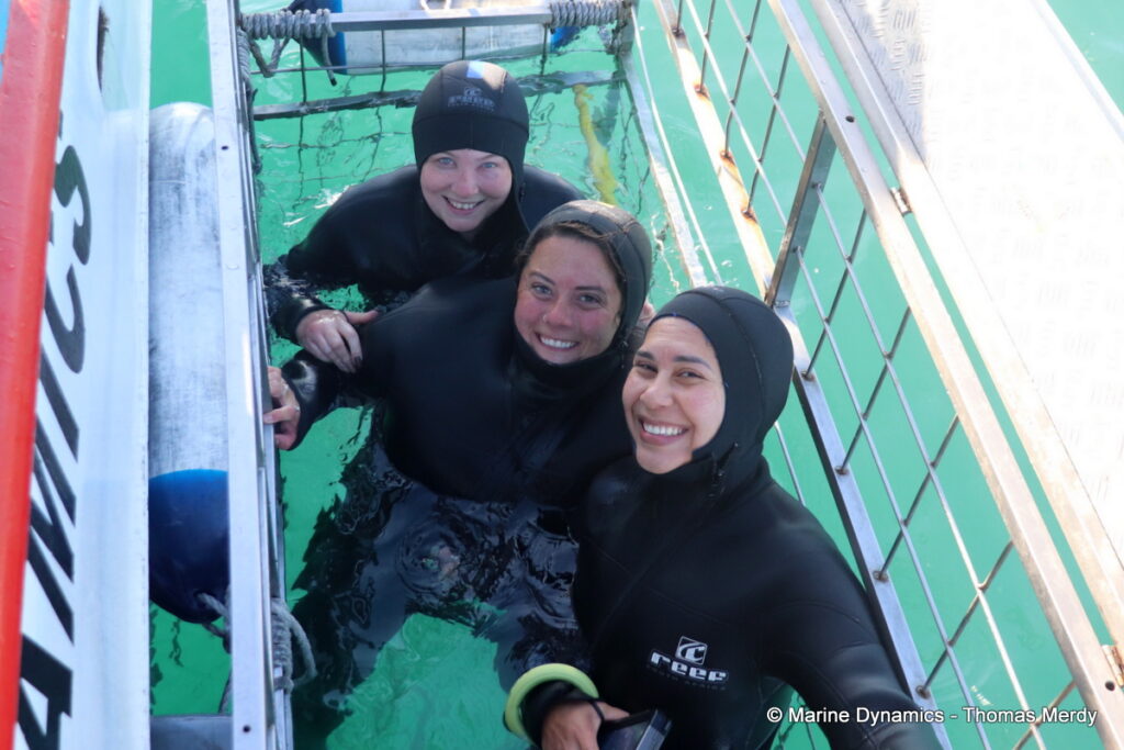 Shark cage diving, South Africa, Gansbaai