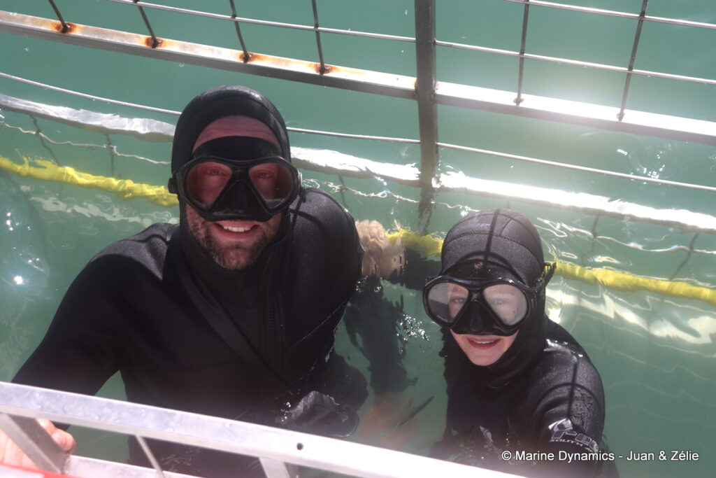 Shark cage diving, Gansbaai, South Africa