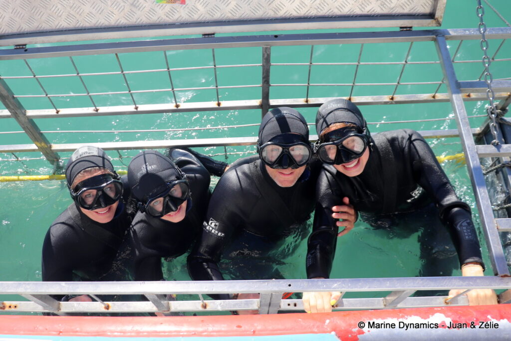 Shark cage diving, Gansbaai, South Africa