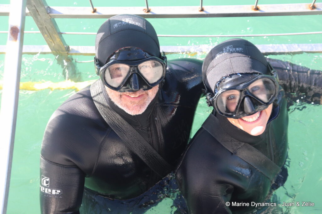 Shark cage diving, Gansbaai, South Africa