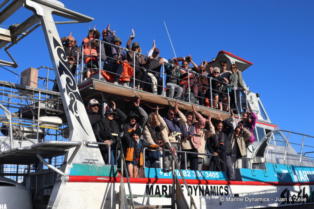 Shark cage diving, Gansbaai, South Africa