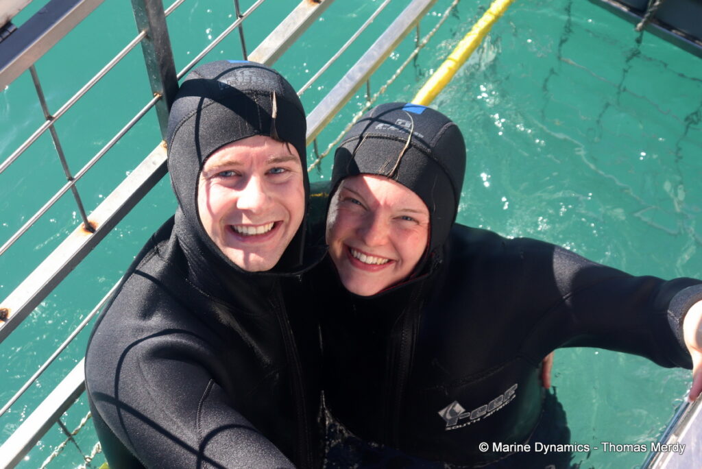 Shark cage diving, Gansbaai, South Africa
