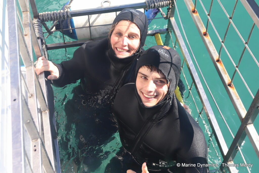 Shark cage diving, Gansbaai, South Africa