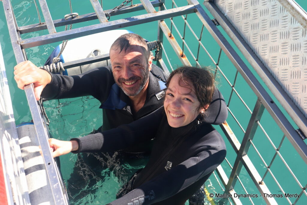 Shark cage diving, Gansbaai, South Africa