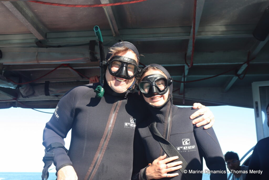 Shark cage diving, Gansbaai, South Africa