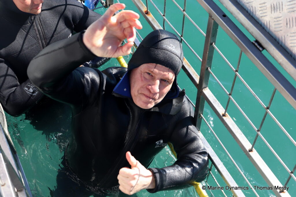Shark cage diving, Gansbaai, South Africa