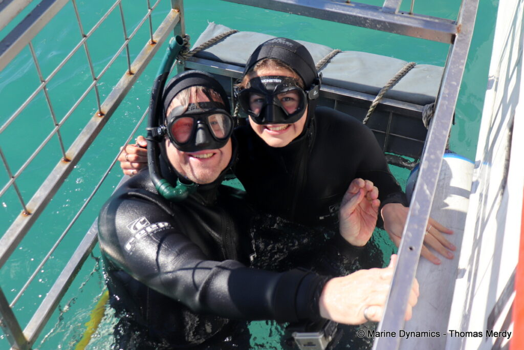 Shark cage diving, Gansbaai, South Africa