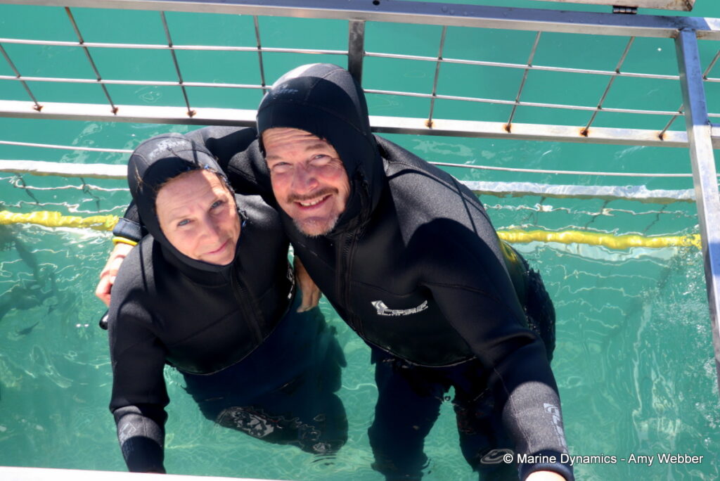 Shark cage diving, Gansbaai, South Africa