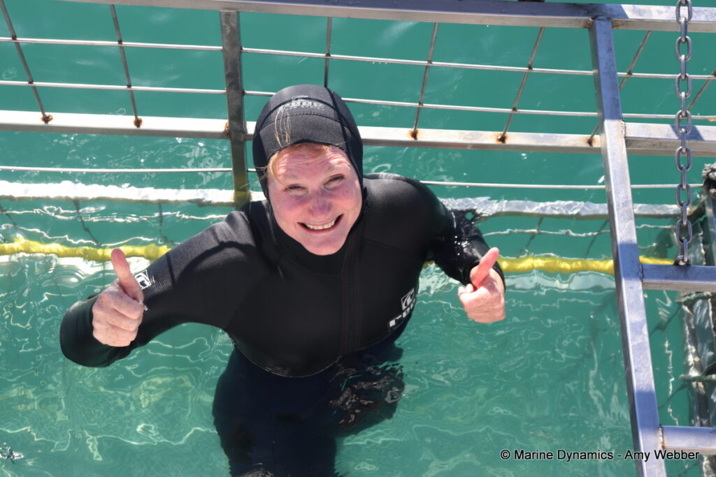 Shark cage diving, Gansbaai, South Africa