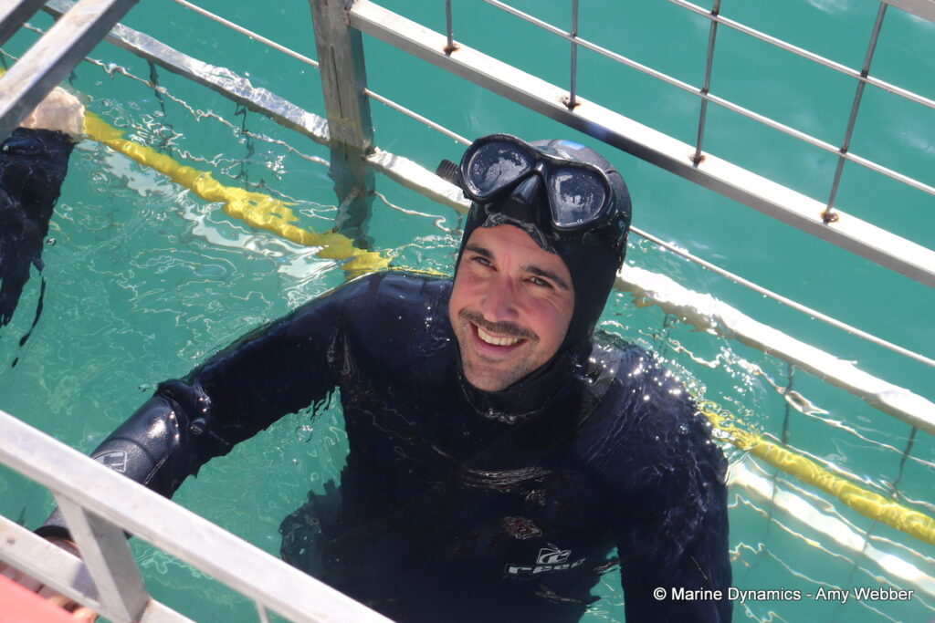 Shark cage diving, Gansbaai, South Africa