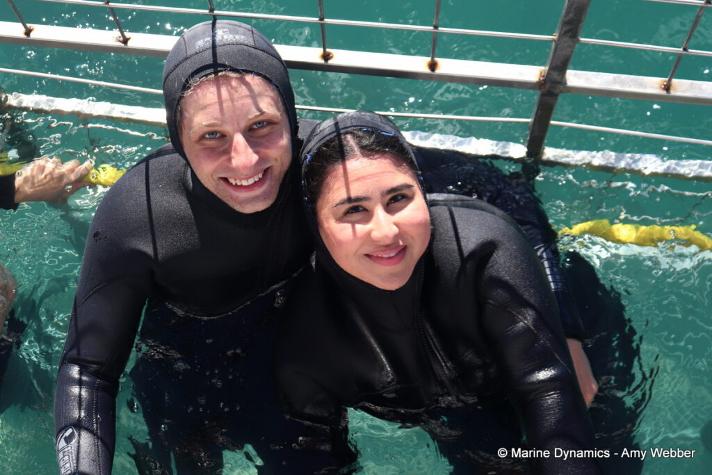 Shark cage diving, Gansbaai, South Africa